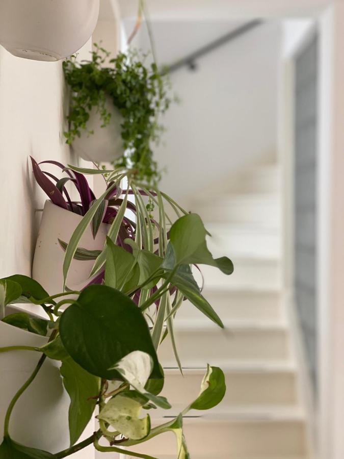 Romantic Wellness Bnb Noordwijk Exteriör bild